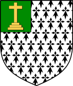 Irish Family Shield for O