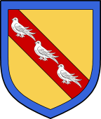 Irish Family Shield for O