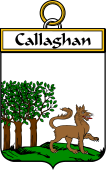 Irish Badge for Callaghan or O