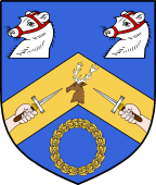 Irish Family Shield for O