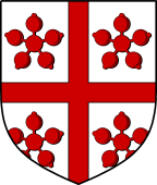 Irish Family Shield for O