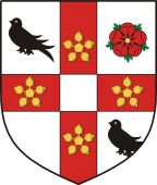 Irish Family Shield for O