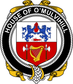 Irish Coat of Arms Badge for the O