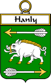 Irish Badge for Hanly or O