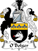 Irish Coat of Arms for O