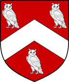 Irish Family Shield for O