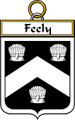 Irish Badge for Feely or O