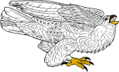 Birds of Prey Clipart image: Iceland Falcon