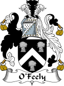 Irish Coat of Arms for O