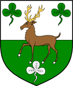 Irish Family Shield for O