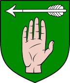 Irish Family Shield for O