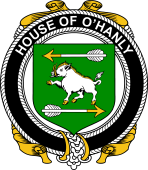 Irish Coat of Arms Badge for the O