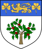 Irish Family Shield for O