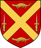 Irish Family Shield for O