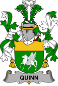 Irish Coat of Arms for Quinn or O