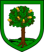 Irish Family Shield for O