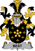 Irish Coat of Arms for Best