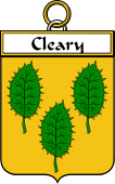 Irish Badge for Cleary or O