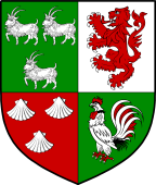 Irish Family Shield for O