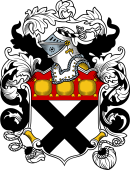 English or Welsh Coat of Arms for Johnson
