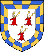 Irish Family Shield for O