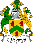 Irish Coat of Arms for O