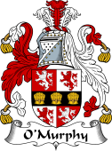 Irish Coat of Arms for O