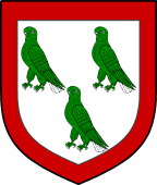 Scottish Family Shield for Peddie