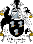 Irish Coat of Arms for O