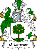 Irish Coat of Arms for O