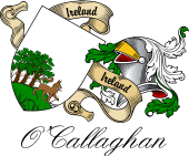 Sept (Clan) Coat of Arms from Ireland for O