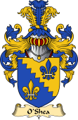 Irish Family Coat of Arms (v.23) for O