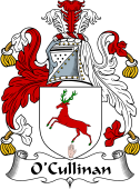 Irish Coat of Arms for O