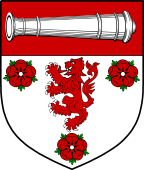 Irish Family Shield for O