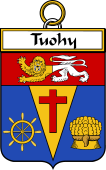 Irish Badge for Tuohy or O