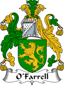 Irish Coat of Arms for O