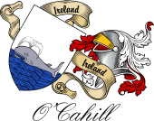 Sept (Clan) Coat of Arms from Ireland for O