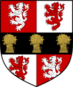 Irish Family Shield for O