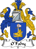 Irish Coat of Arms for O