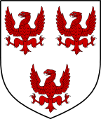 Irish Family Shield for O