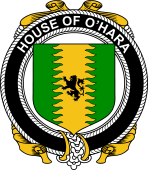 Irish Coat of Arms Badge for the O