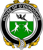 Irish Coat of Arms Badge for the O