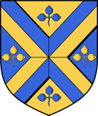 Irish Family Shield for Brogan or O