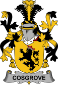 Irish Coat of Arms for Cosgrove or O