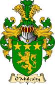 Irish Family Coat of Arms (v.23) for O