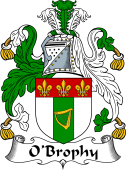 Irish Coat of Arms for O