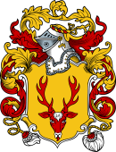 English or Welsh Coat of Arms for Pole