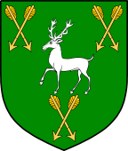 Irish Family Shield for O