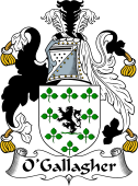 Irish Coat of Arms for O