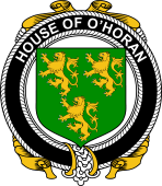 Irish Coat of Arms Badge for the O